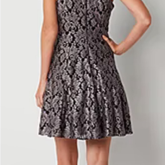 Elegant Black Lace Dress - Picture 3 of 3